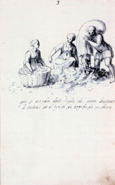 Tratado sobre la cultura y fabricación de la seda de Giuseppe Arcimboldo